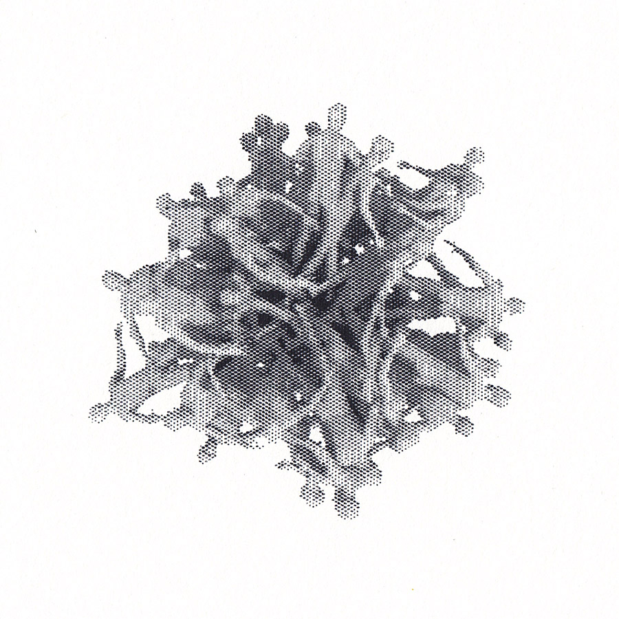 Tomáš Penc - Clusters, 2018