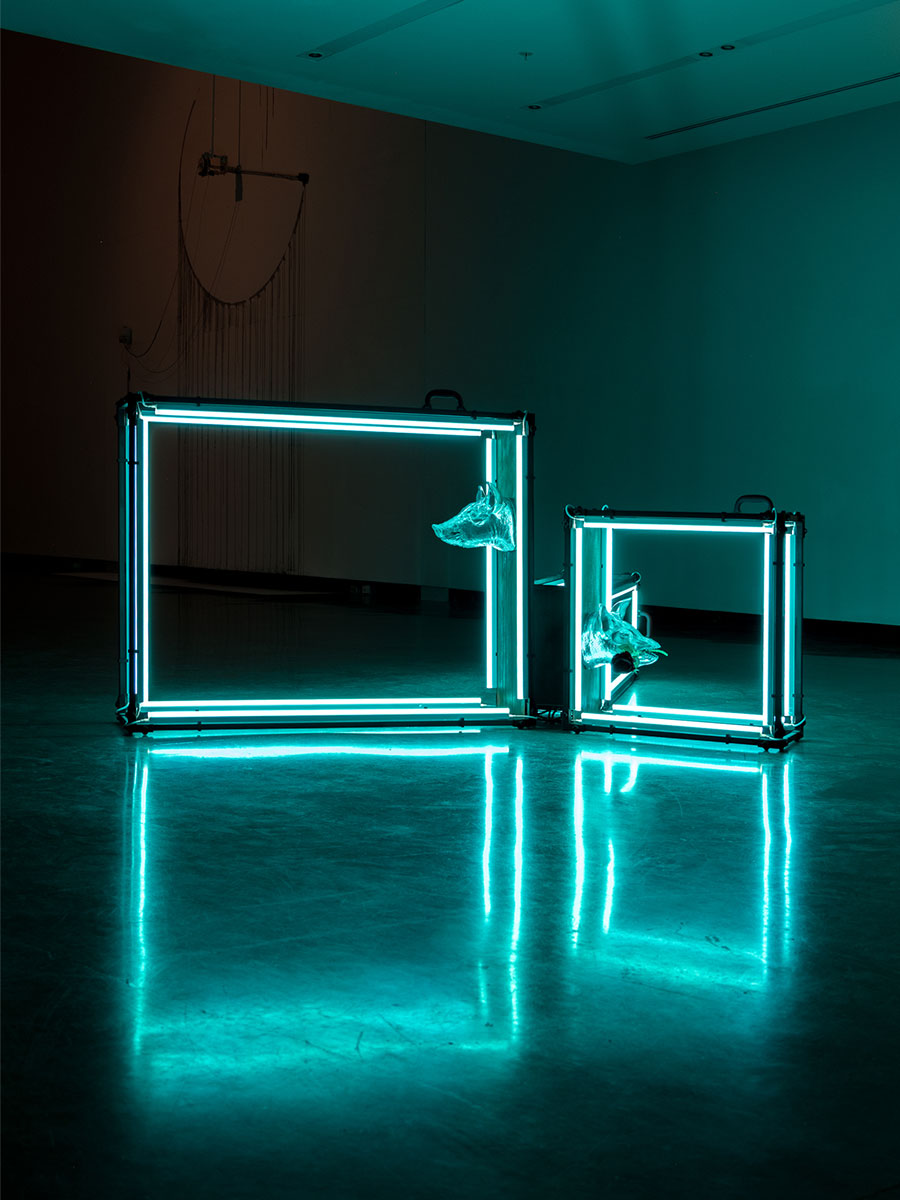 Tomáš Penc - You Brought Something Into The World That Does Not Belong Here, 2023